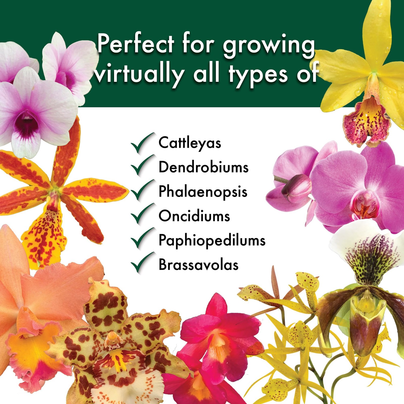 Special Orchid Mix – Premium Grade Orchid Bark Potting Mix for Potting, Repot…