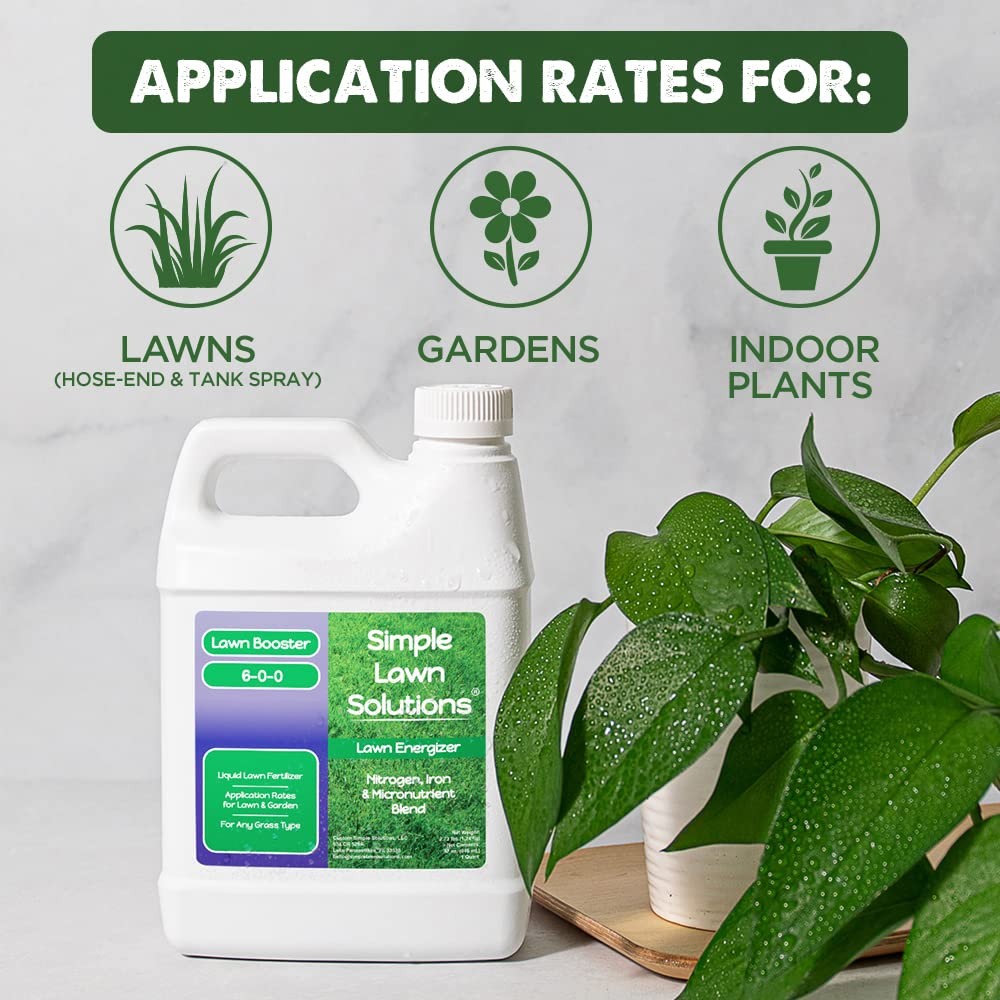 Commercial Grade Lawn Energizer Iron Nitrogen Micronutrient Booster – Liquid …