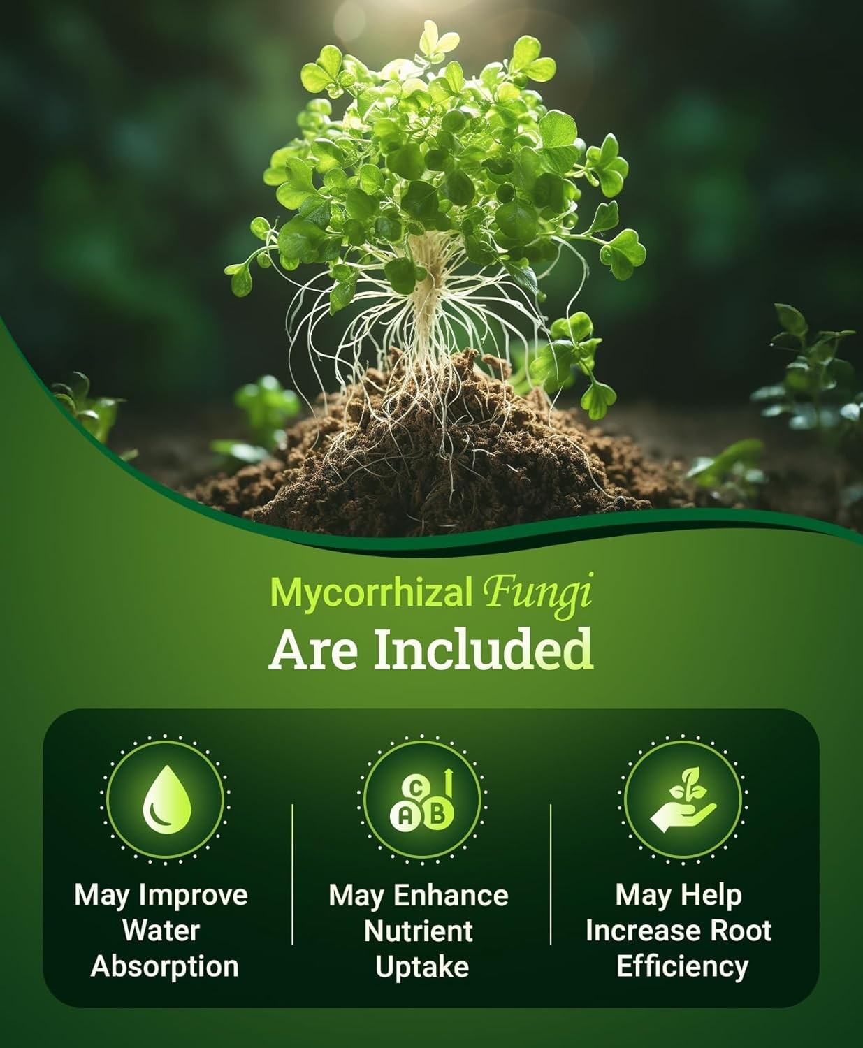 Happy Frog Organic Fertilizer with Soil Microbes – 4 lb for Flowers & Vegetables