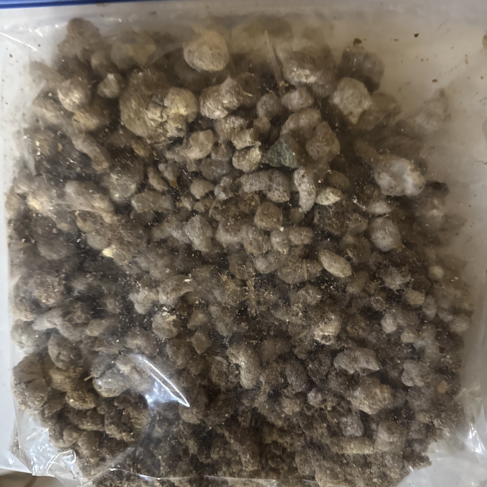 Fresh Dried Chicken Manure