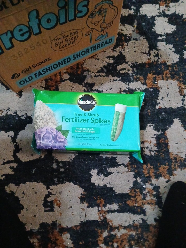 Miracle-Gro Tre & Shrub Fertilizer Spikes 12 Pcs