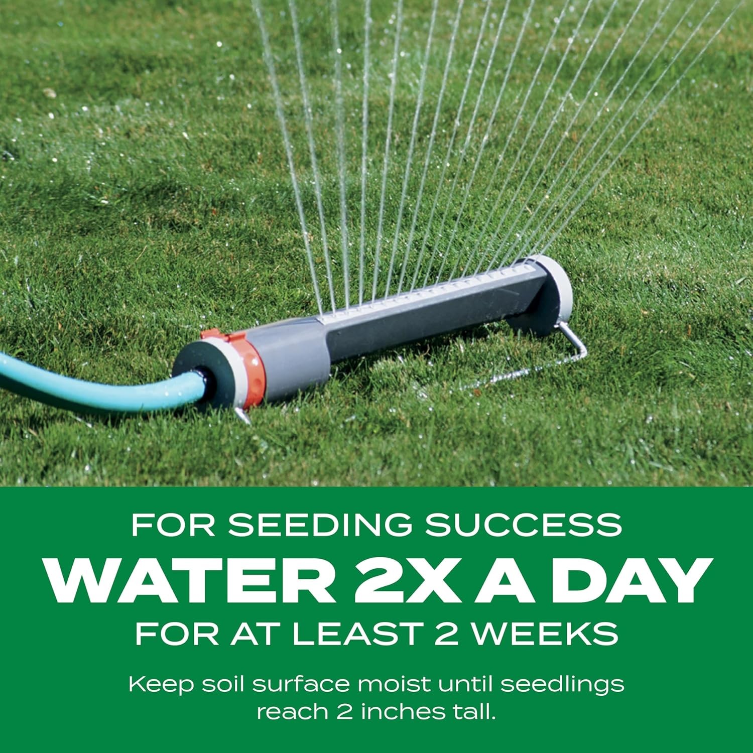 Scotts Turf Builder Thick’R Lawn Sun and Shade, Combination Seed, Fertilizer and