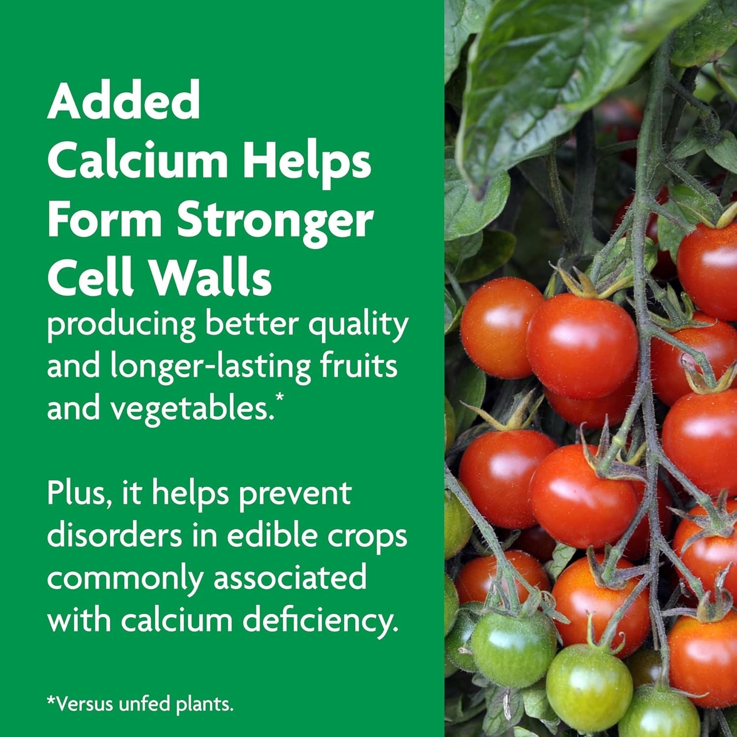 Continuous Release 1 lb. Plant Food for Tomatoes & Vegetables, Granular Formula