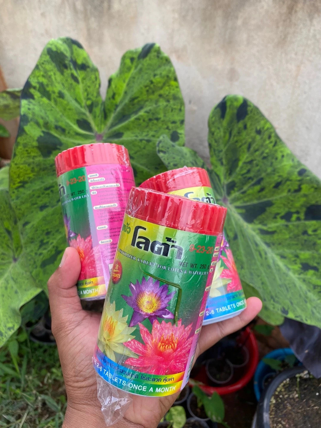 Lotus Fertilizer Aquatic Plants Accelerate Flowers Leaves Color 50 Tab (250g)