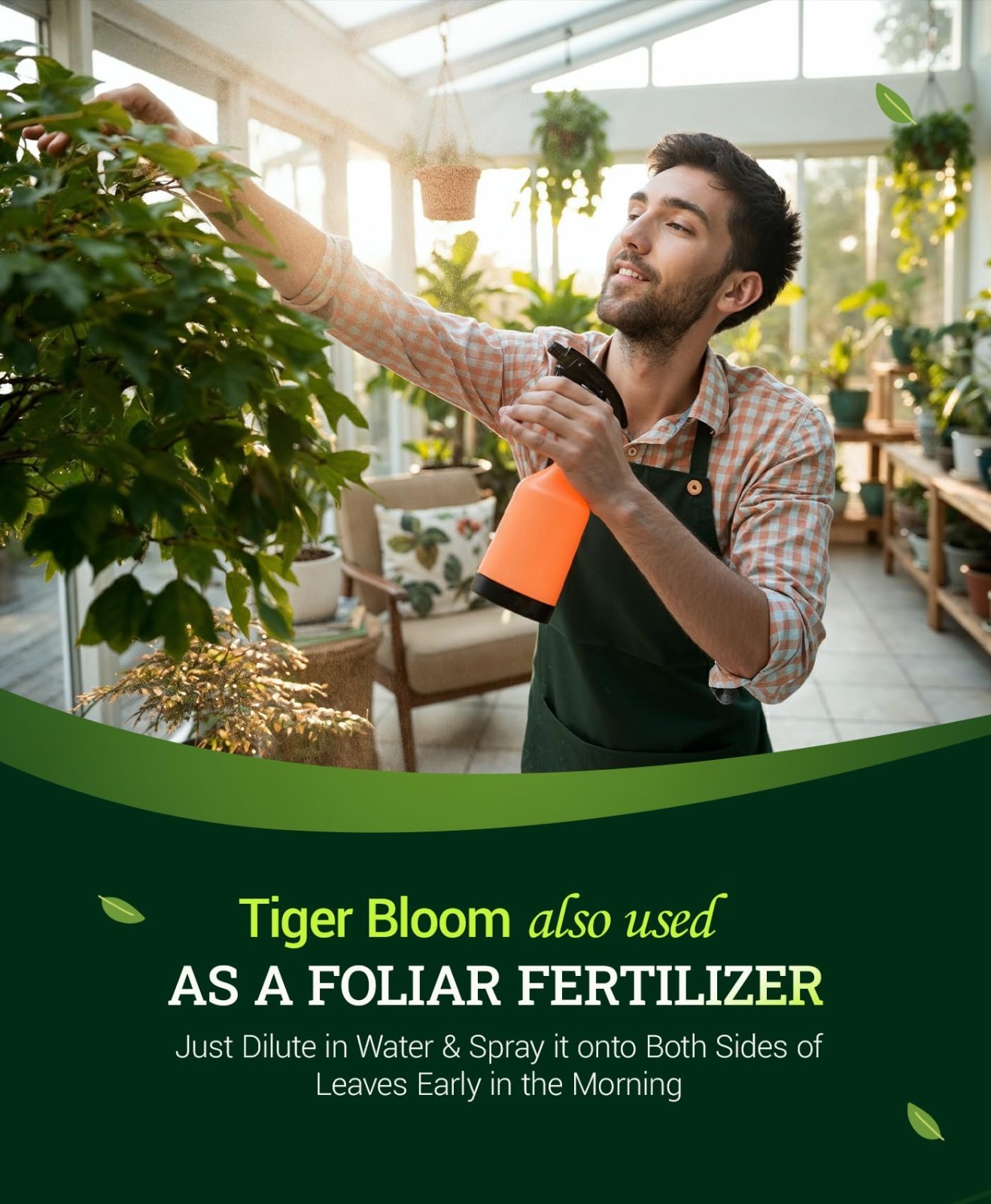 Liquid Plant Food – Phosphorus Fertilizer for Buds & Blooms – Hydroponic & Soil