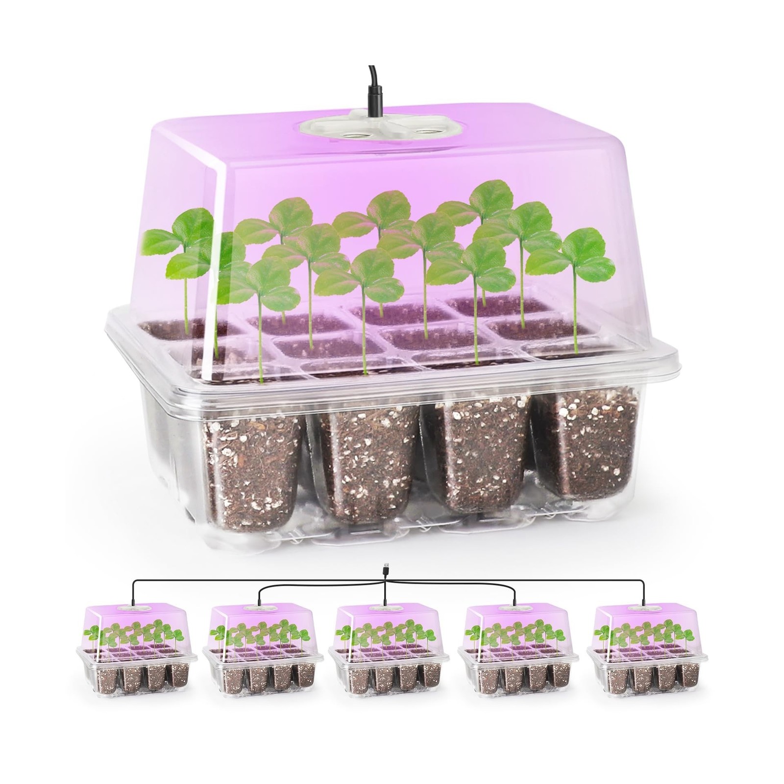Bonviee 5 Packs Seed Starter Tray with Grow Light, Elevated Seedling Starter …