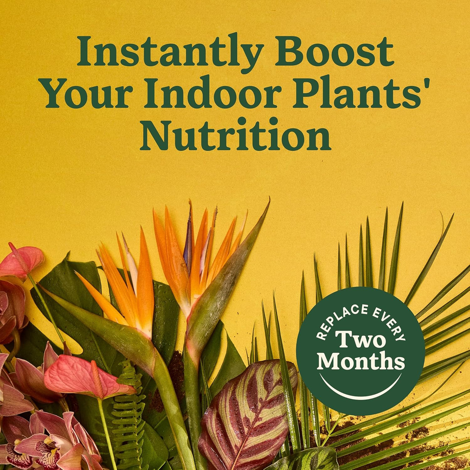 Indoor Plant Food Spikes for All Plants, Fertilizer Spikes for Houseplants