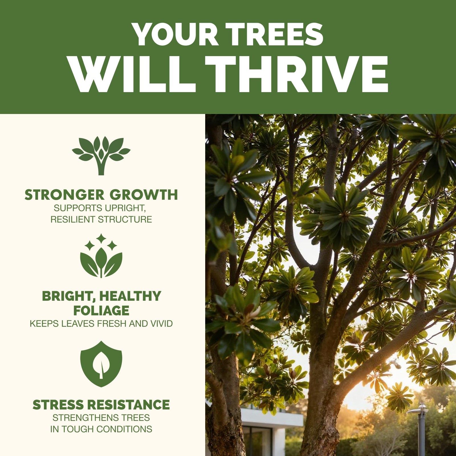 Tree Fertilizer – Liquid Plant Food for Stronger Roots, 32 oz (1 Quart)