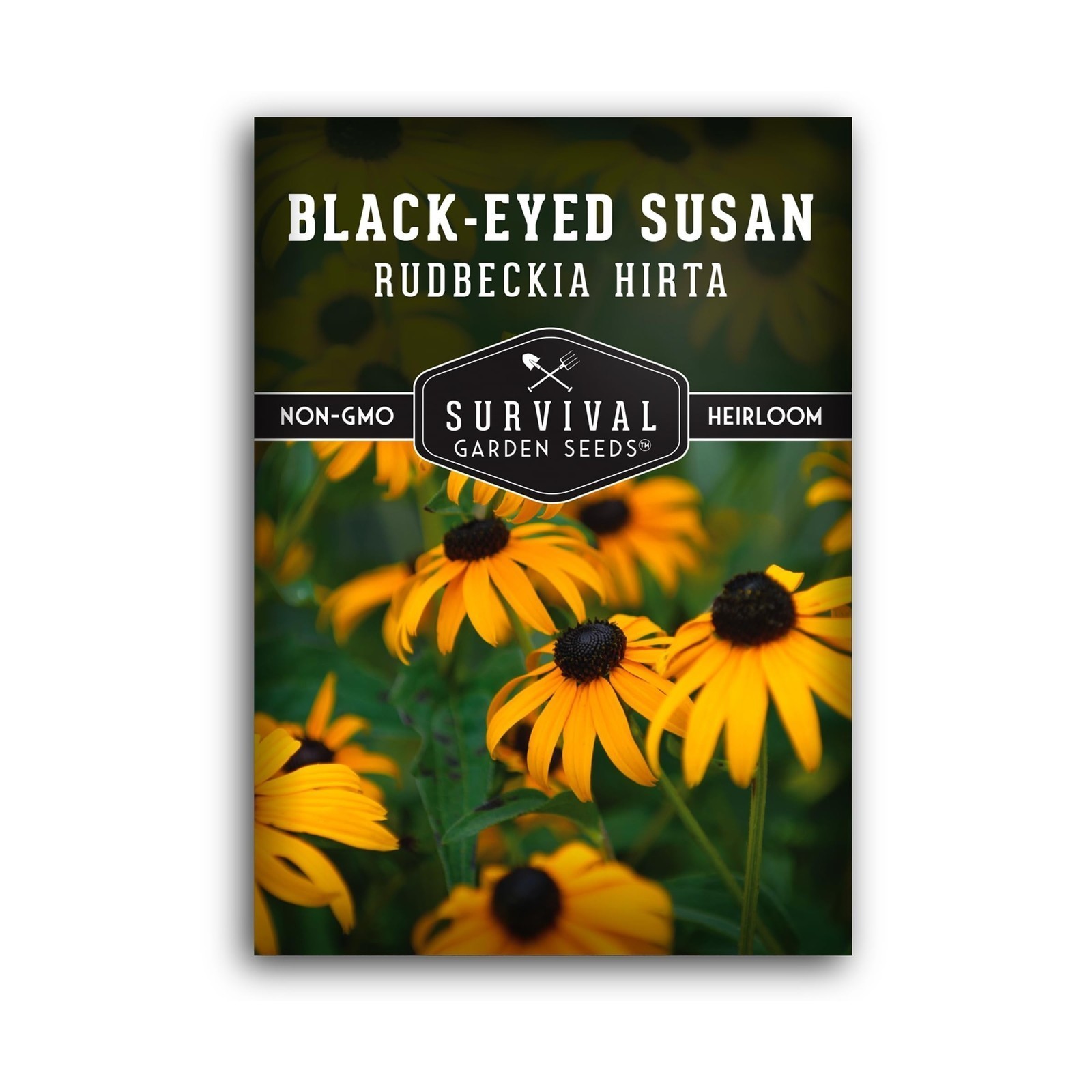 Blackeyed Susan Wildflower Seeds for Planting – 1 Packet with Instructions to…