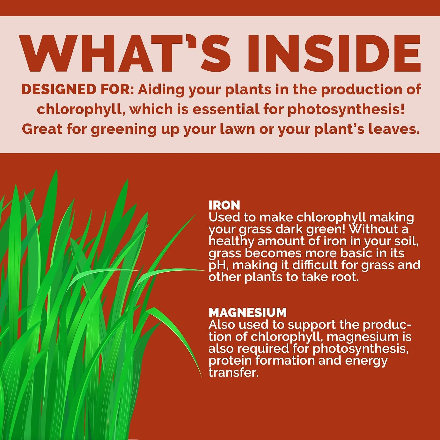 Chelated Liquid Iron Supplement 8oz Organic for Lawns & Plants with Plant Growth