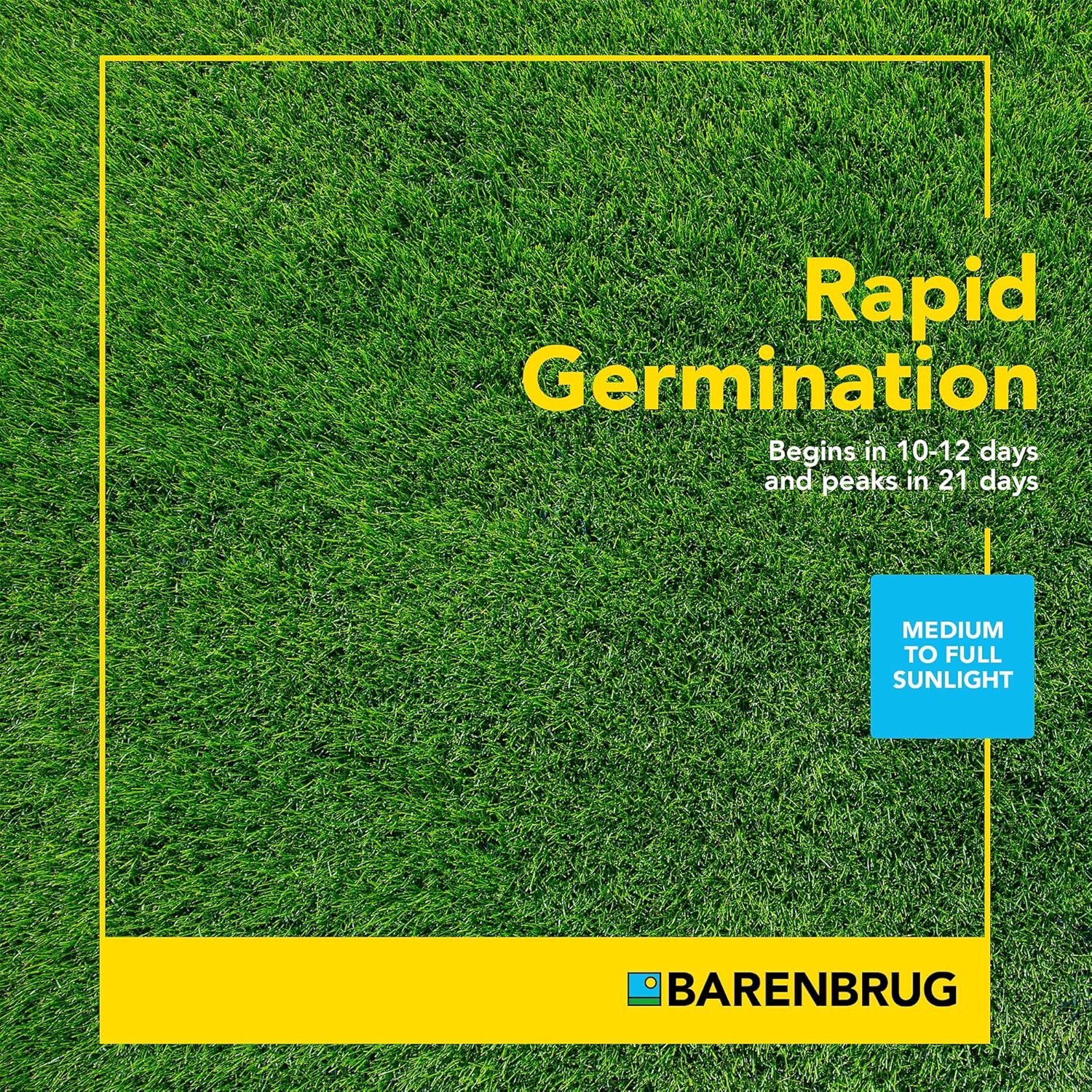 Barenbrug Turf Blue Pro Kentucky Bluegrass Lawn Seed with Yellow Jacket Seed Coa