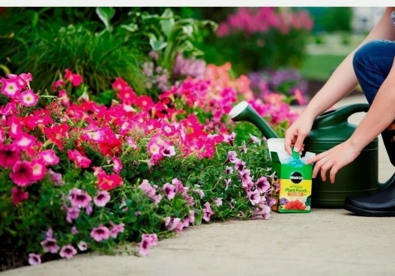 Plant Flower Food Miracle-Gro Water Soluble 1.5 lb. All-Purpose Beautiful Plants