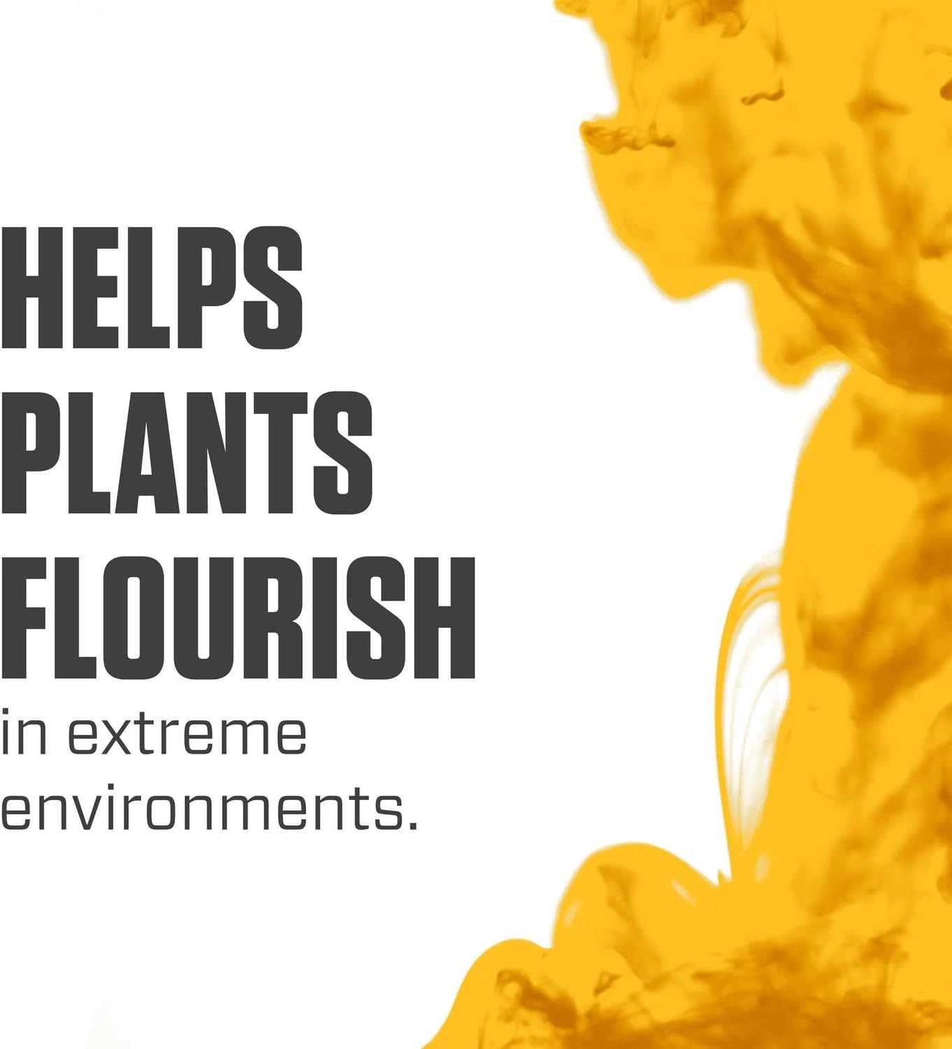 Silica Blast, Plant Supplement, 0-0-0.5, 1 gal.