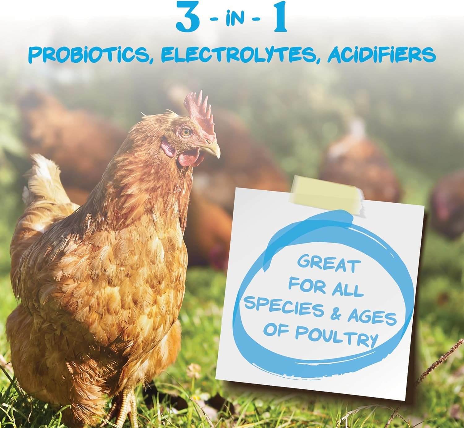 Hydro-Hen Poultry Electrolyte & Probiotic Supplement, Hydration Support for Chic
