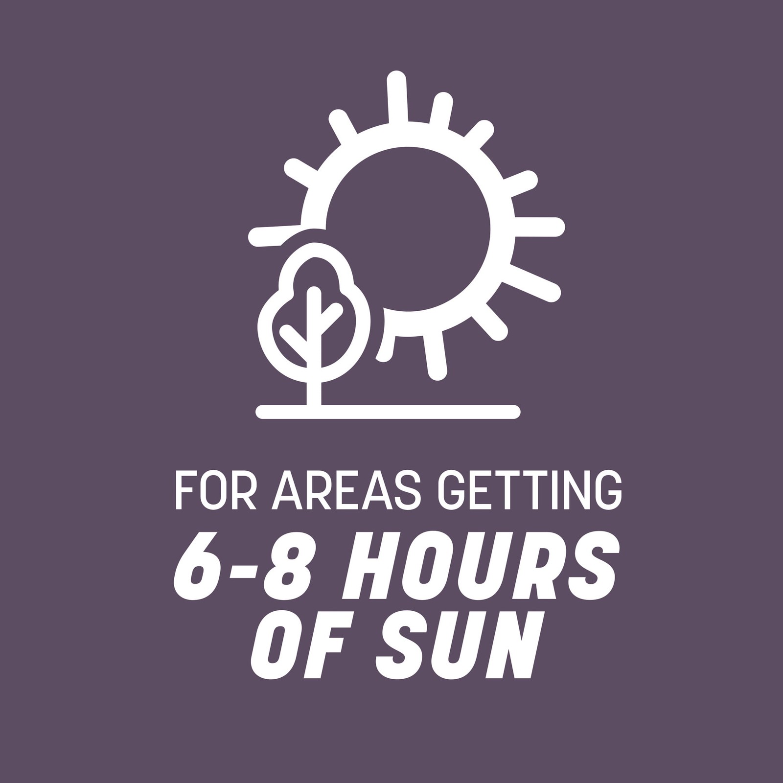 Pennington Annual Ryegrass Grass Seed, for Sun to Partial Shade, 20 lb.