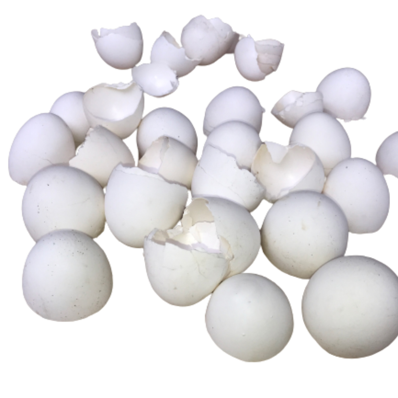 Organic Ceylon Crushed Egg Shell Home Made Calcium Fertilizer Free Shipping