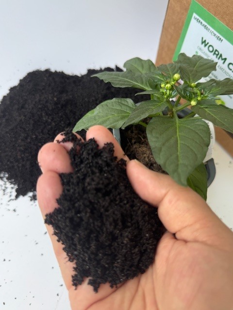 WORM CASTINGS ORGANIC SOIL AMENDMENT AND FERTILIZER (Odour free, natural, fresh)