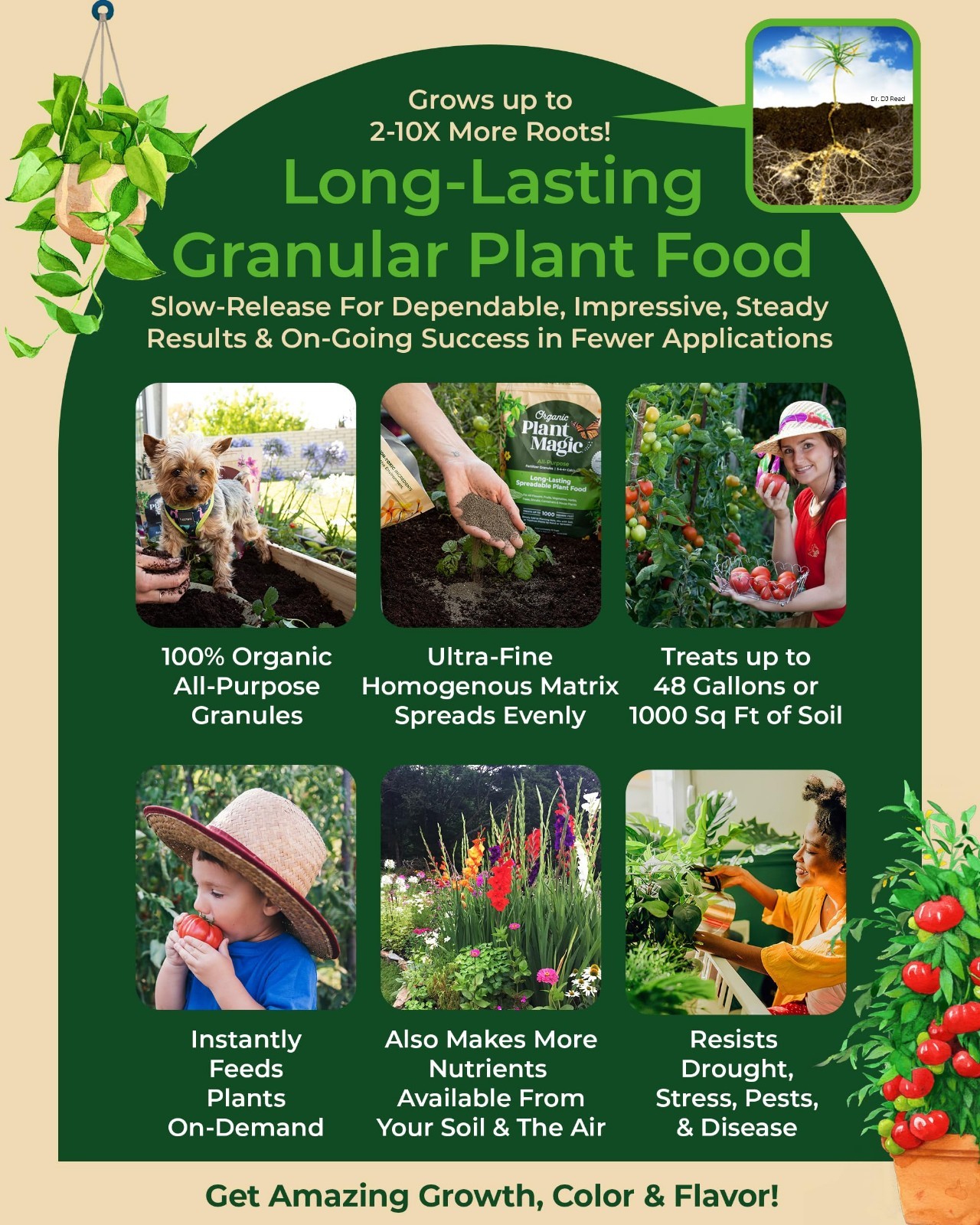 Organic Slow Release Granular Fertilizer – Long-Lasting Plant Food for Flowers,