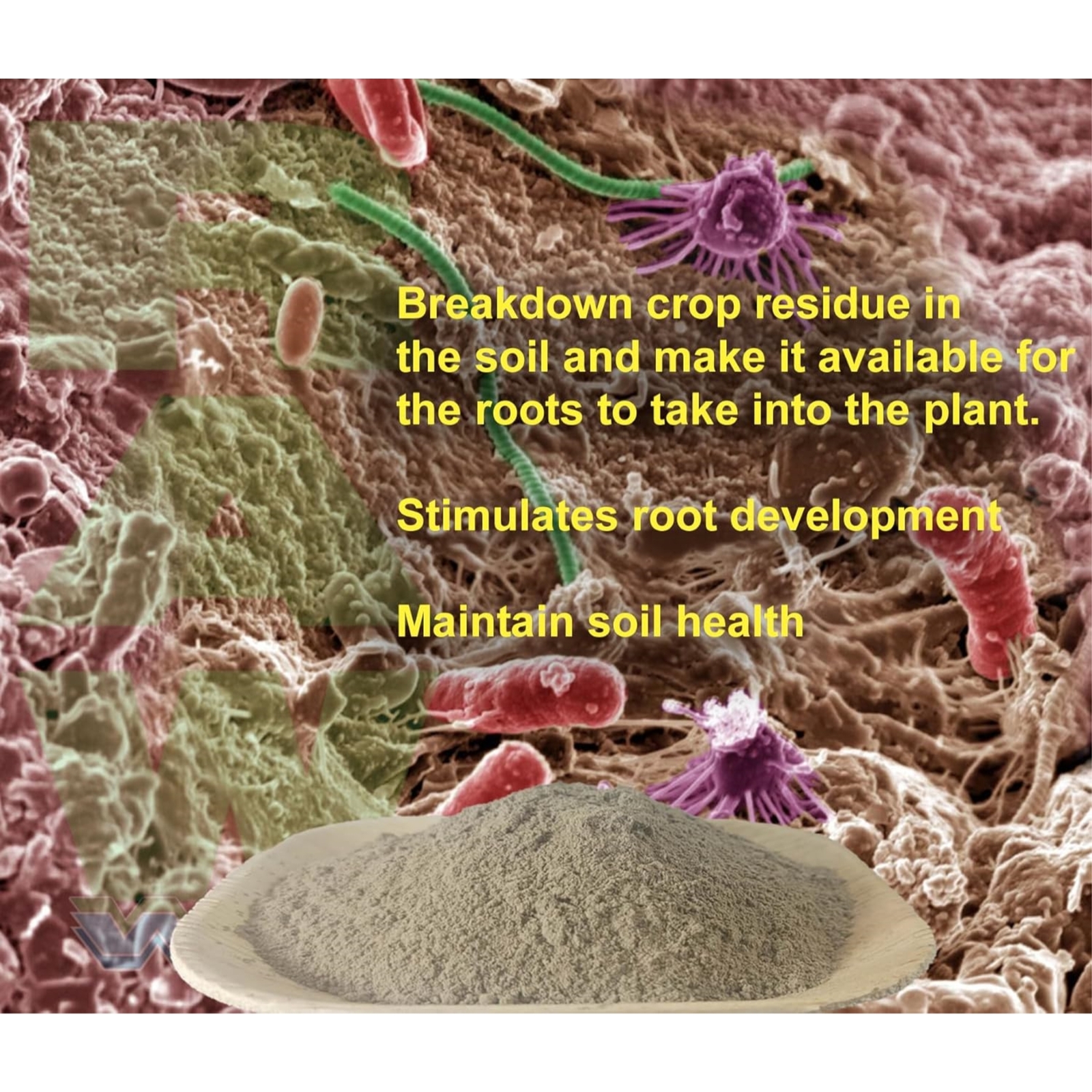 RAW Microbes Bloom Stage Beneficial Bacteria & Fungi Water-Soluble Powder, 2oz