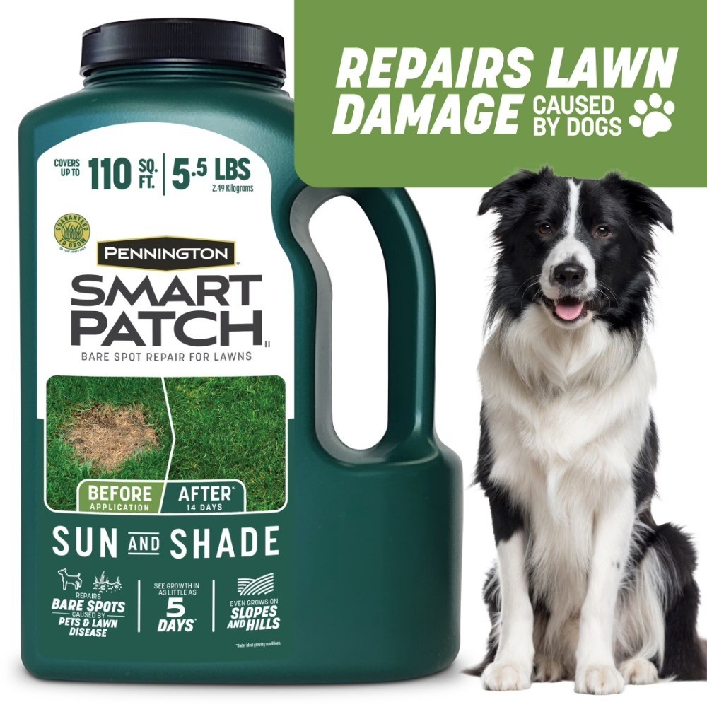 Sun and Shade Grass Seed Mix for Lawns, Partial Sun to Partial Shade Coverage,