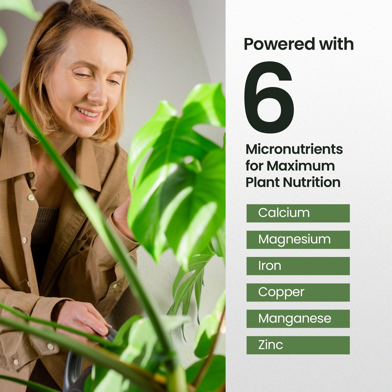 16oz Monstera Plant Food – Makes 96 Gallons of 16 oz (1 Pint)