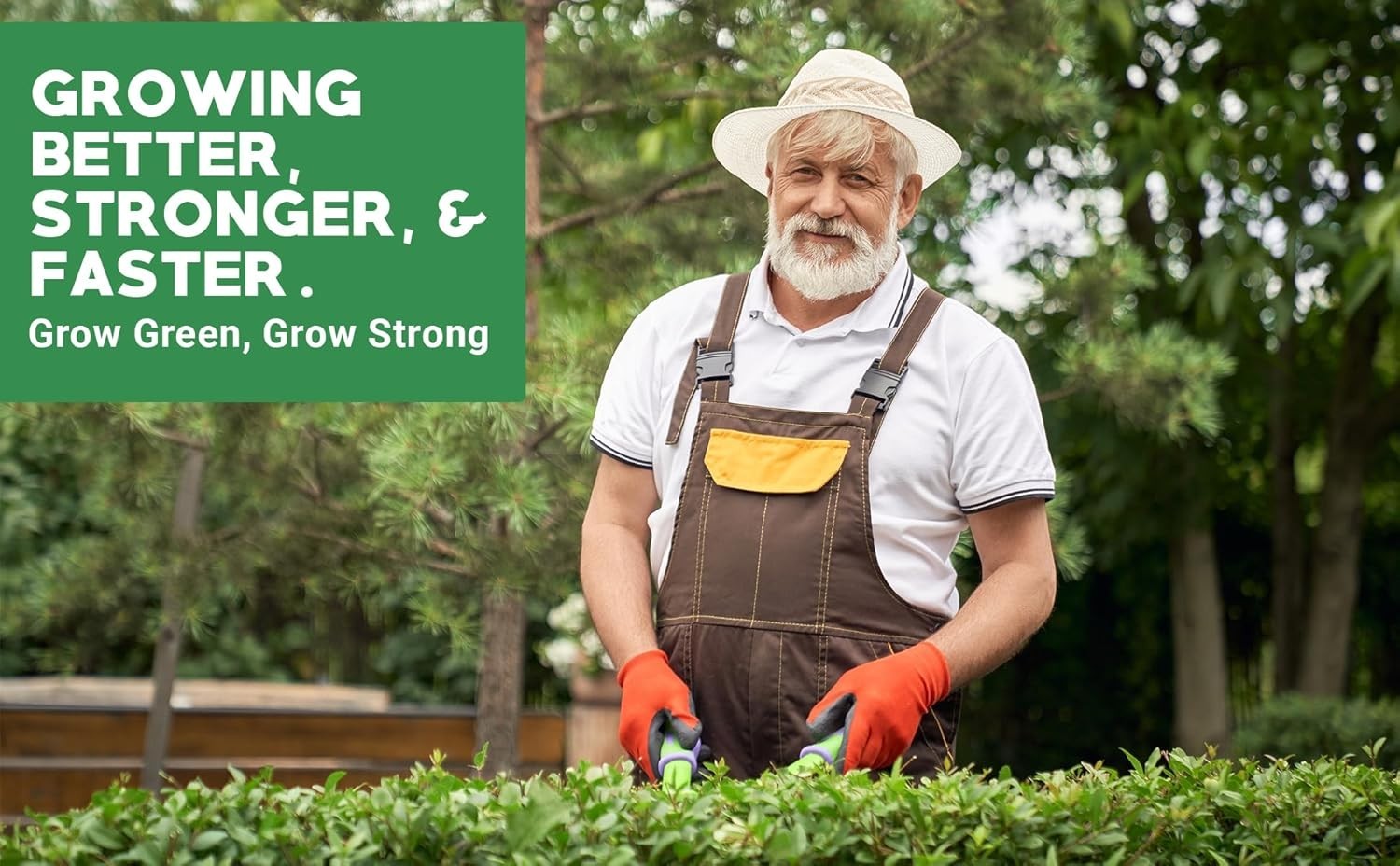 6-6-6 All Purpose Fertilizer | Professional Balanced Plant Food Indoor/Outdoor