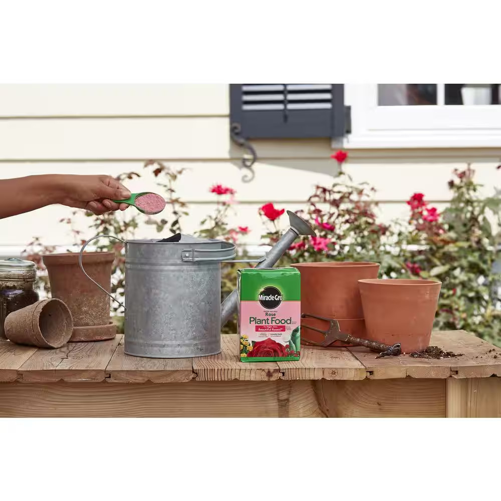 Miracle-Gro Water Soluble Powder Rose Plant Food Instantly Feeds 1.5 lb