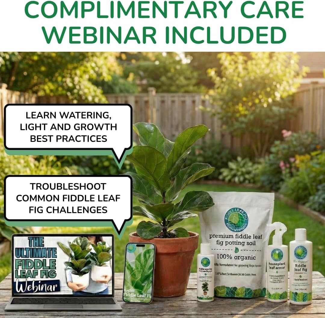 3-1-2 NPK Liquid Fertilizer for Ficus, 8 oz