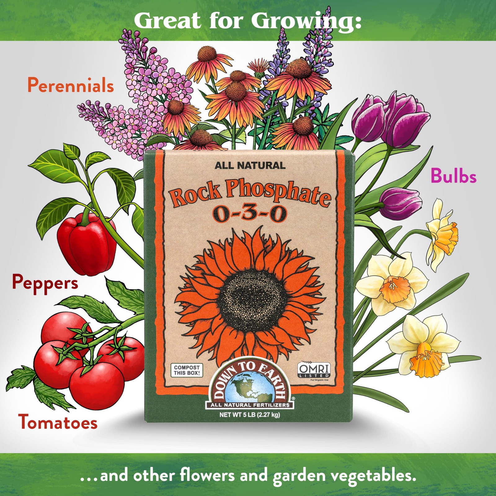 Organic Rock Phosphate Fertilizer Calcium Phosphorus 030 5 lb Garden Plant Foo
