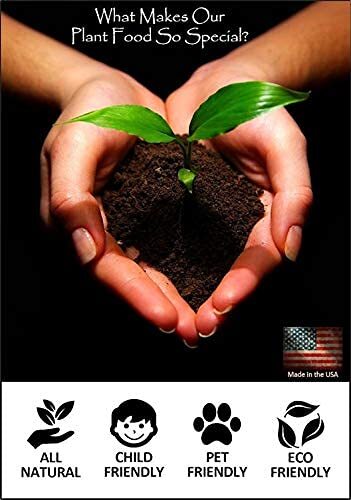 AFRICAN VIOLET PLANT FOOD Organic Fertilizer Spikes 100 Capsules EARTHPODS