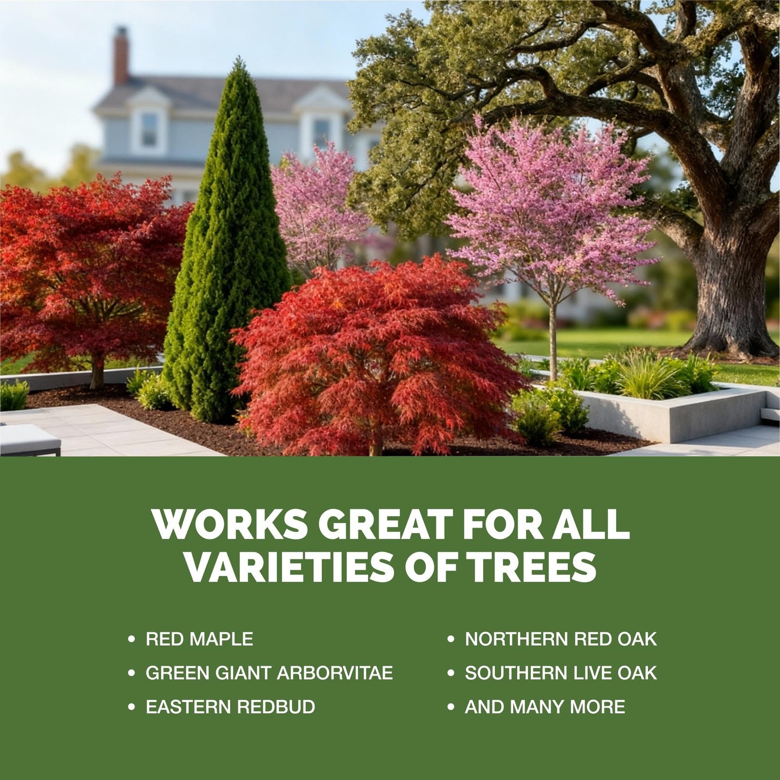 Tree Fertilizer – Liquid Plant Food for Stronger Roots, 32 oz (1 Quart)