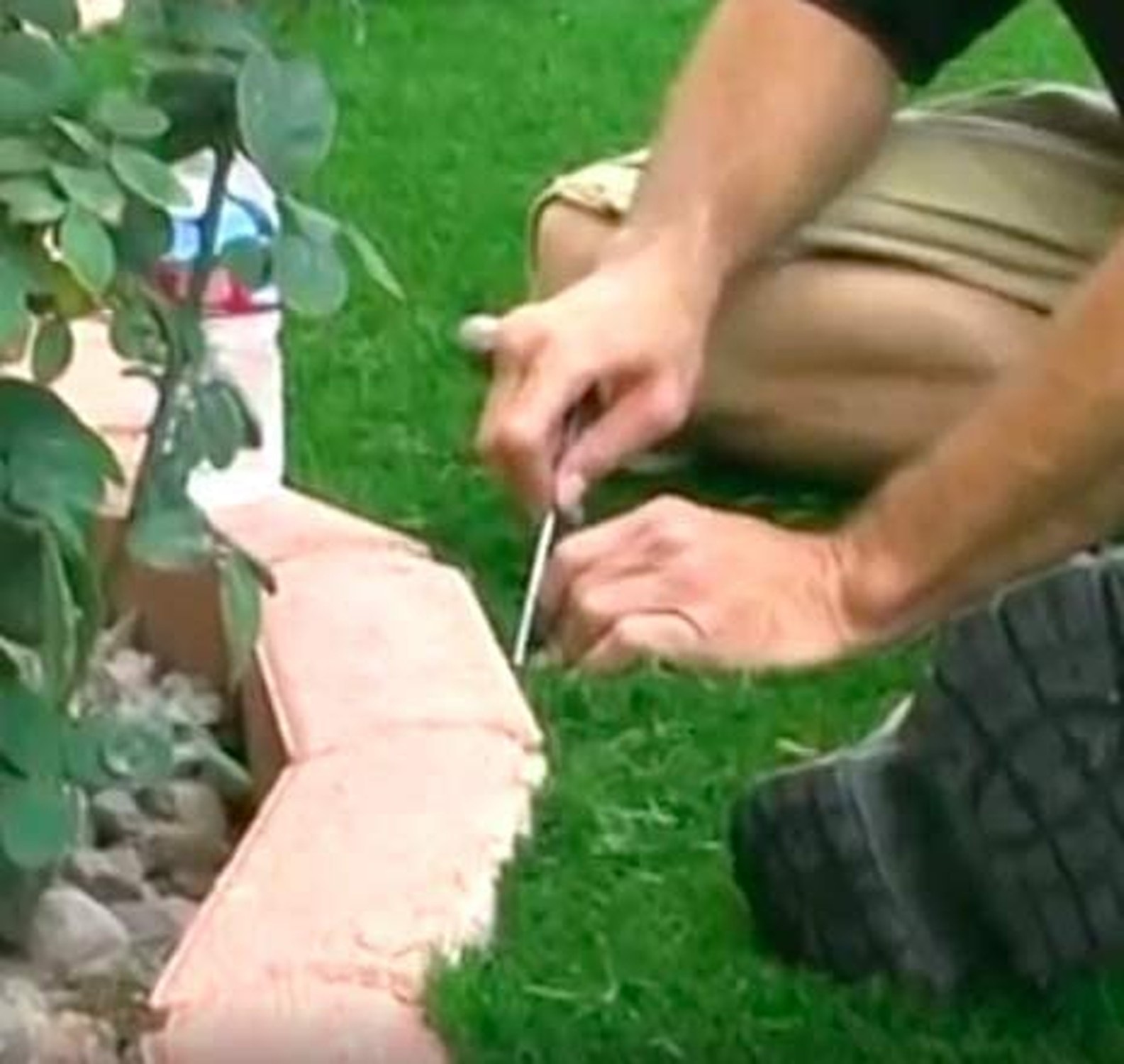 USA Made (150 Pack) Synthetic Grass Landscape, 5.5″ Turf Nails/Stakes, 5 lbs …