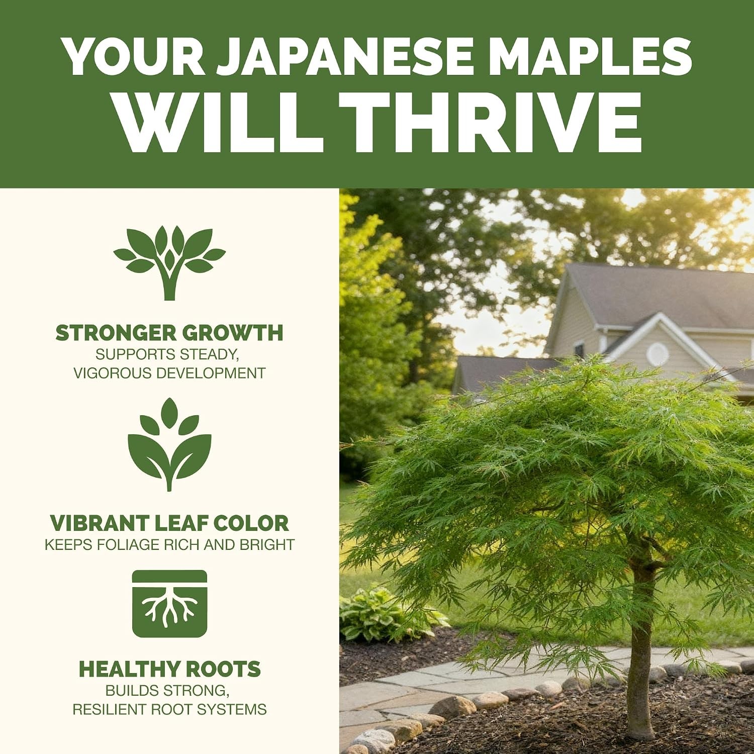 Japanese Maple Fertilizer – Liquid Plant Food for Vibrant Color, Stronger Roots
