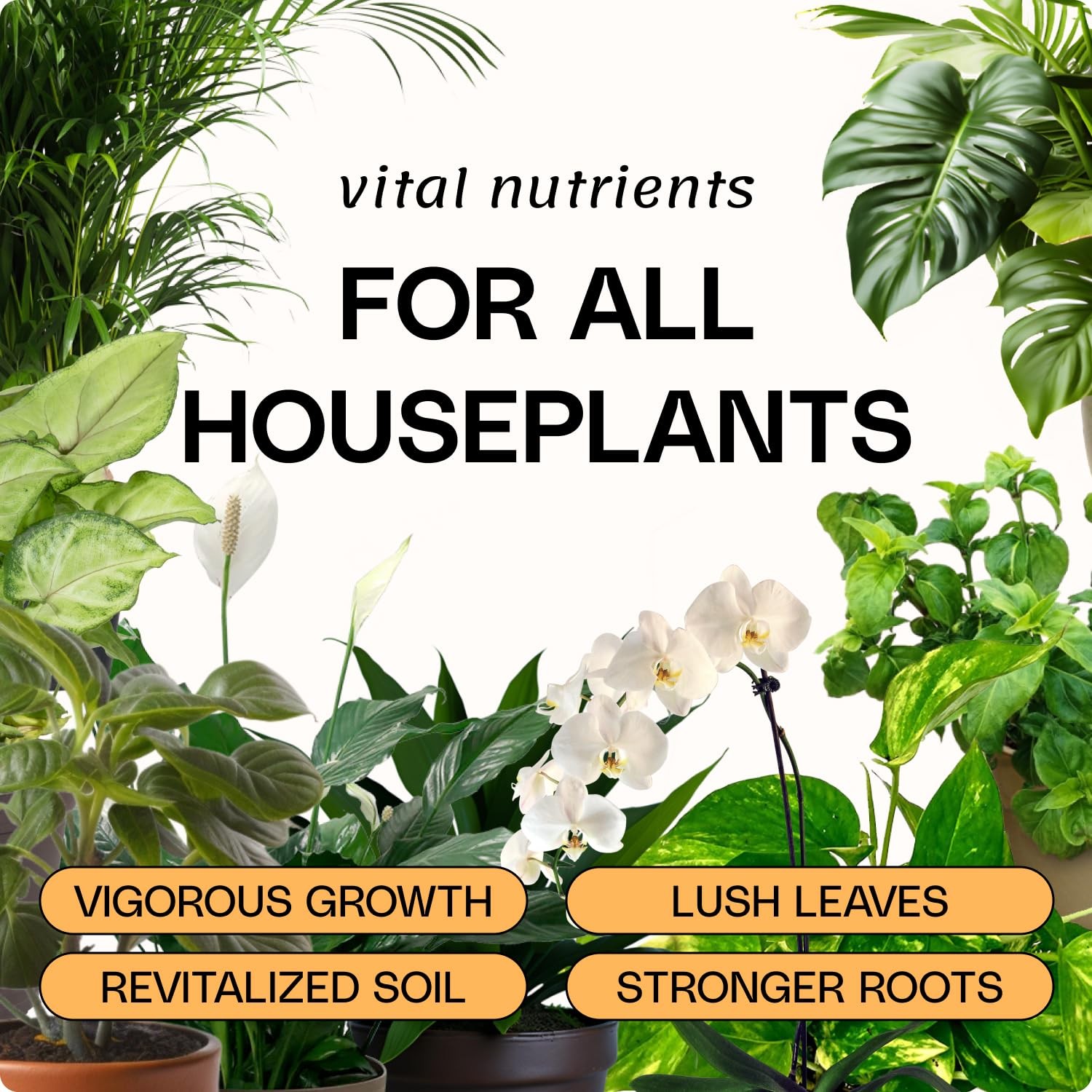 Organic All-Purpose Plant Food Fertilizer 3-3-2 NPK 1.69 fl oz Indoor Plants