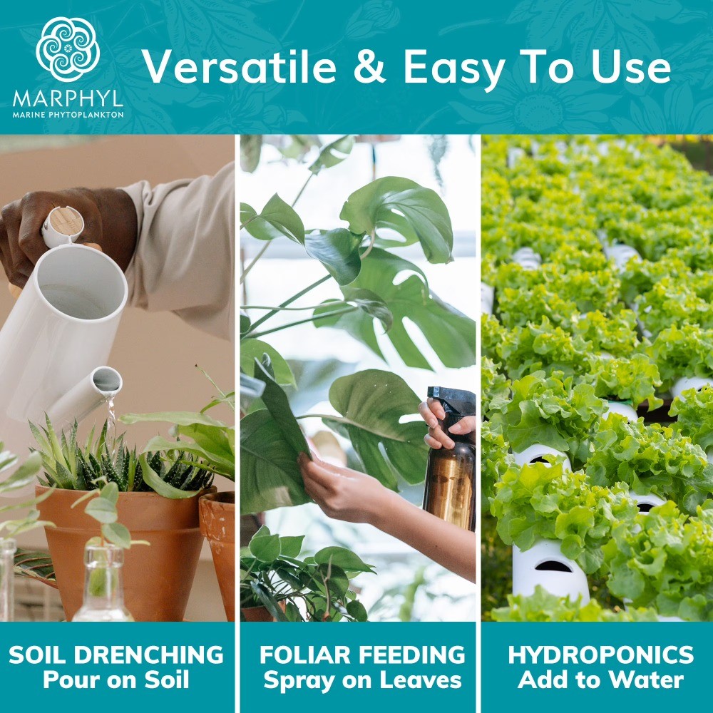 Organic Liquid All Purpose Fertilizer – Indoor & Outdoor Plants, 16.9 oz