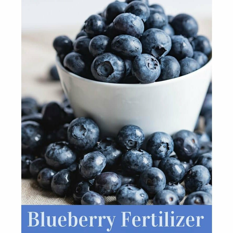 Blueberry Special 16-4-8 Fertilizer – 50 Lbs.