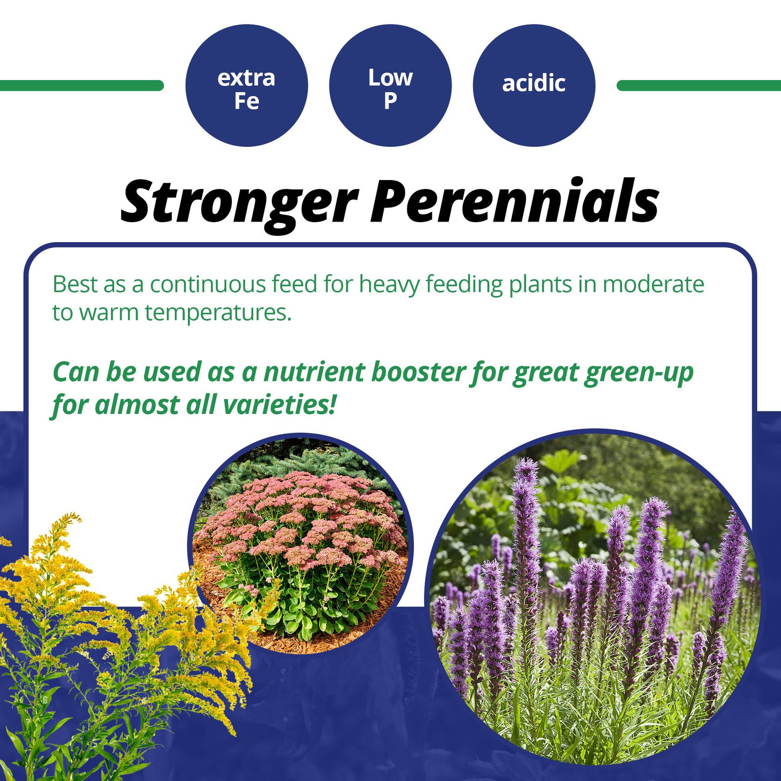 Jack’s Professional 25-5-15 High Performance Water-Soluble Fertilizer, 25lbs