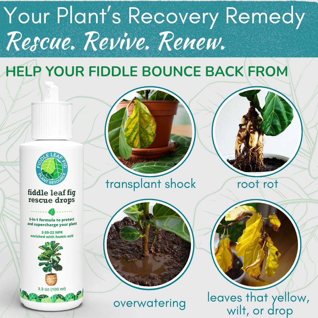 Fiddle Leaf Fig Rescue Drops – Treats Root Rot, Brown Spots, Leaf Drop & Stress
