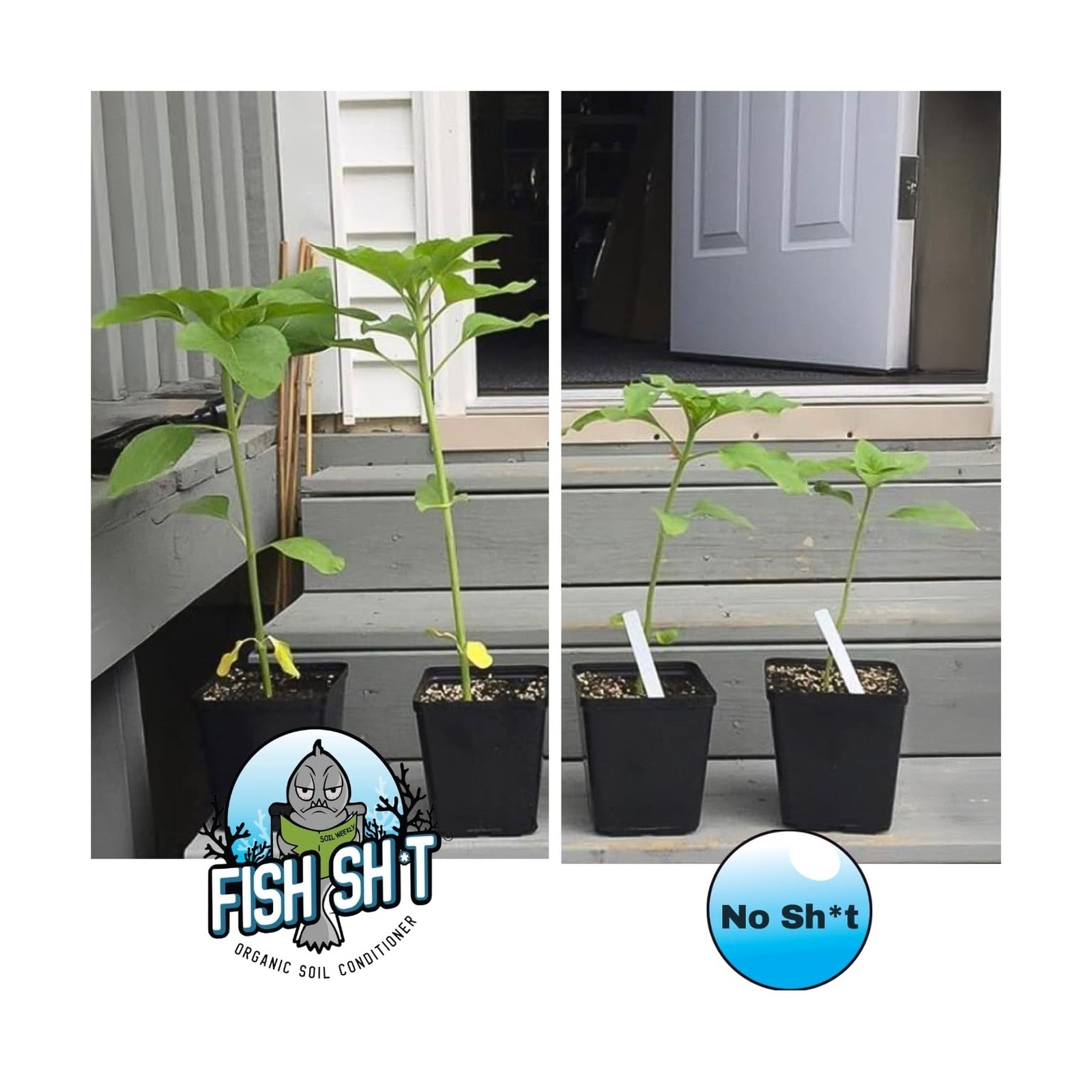 Fish Head Farms Organic Soil Conditioner – Organic Fertilizer for Increased Y…