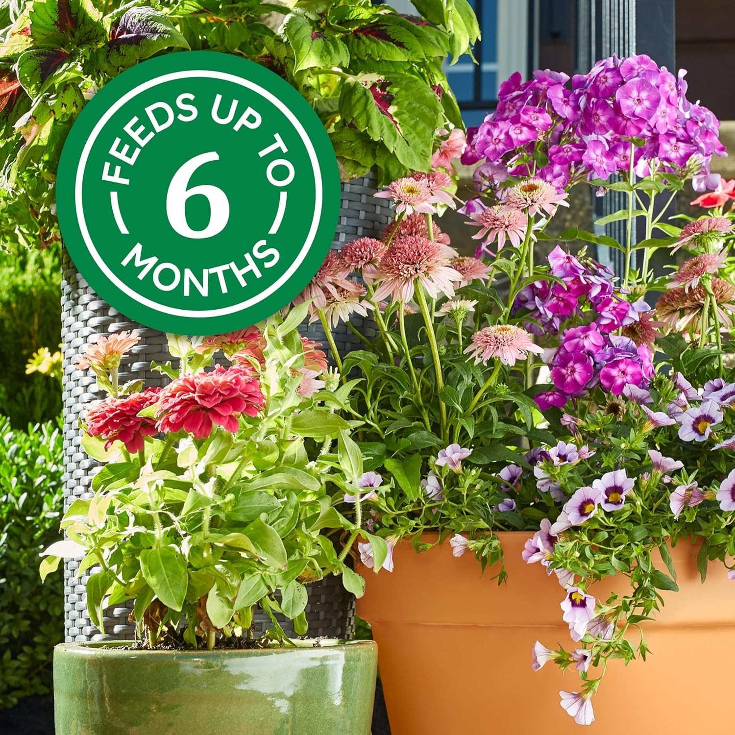 Smart-Release Plant Food Plus Outdoor & Indoor1 – Granular, Continuous Releas…