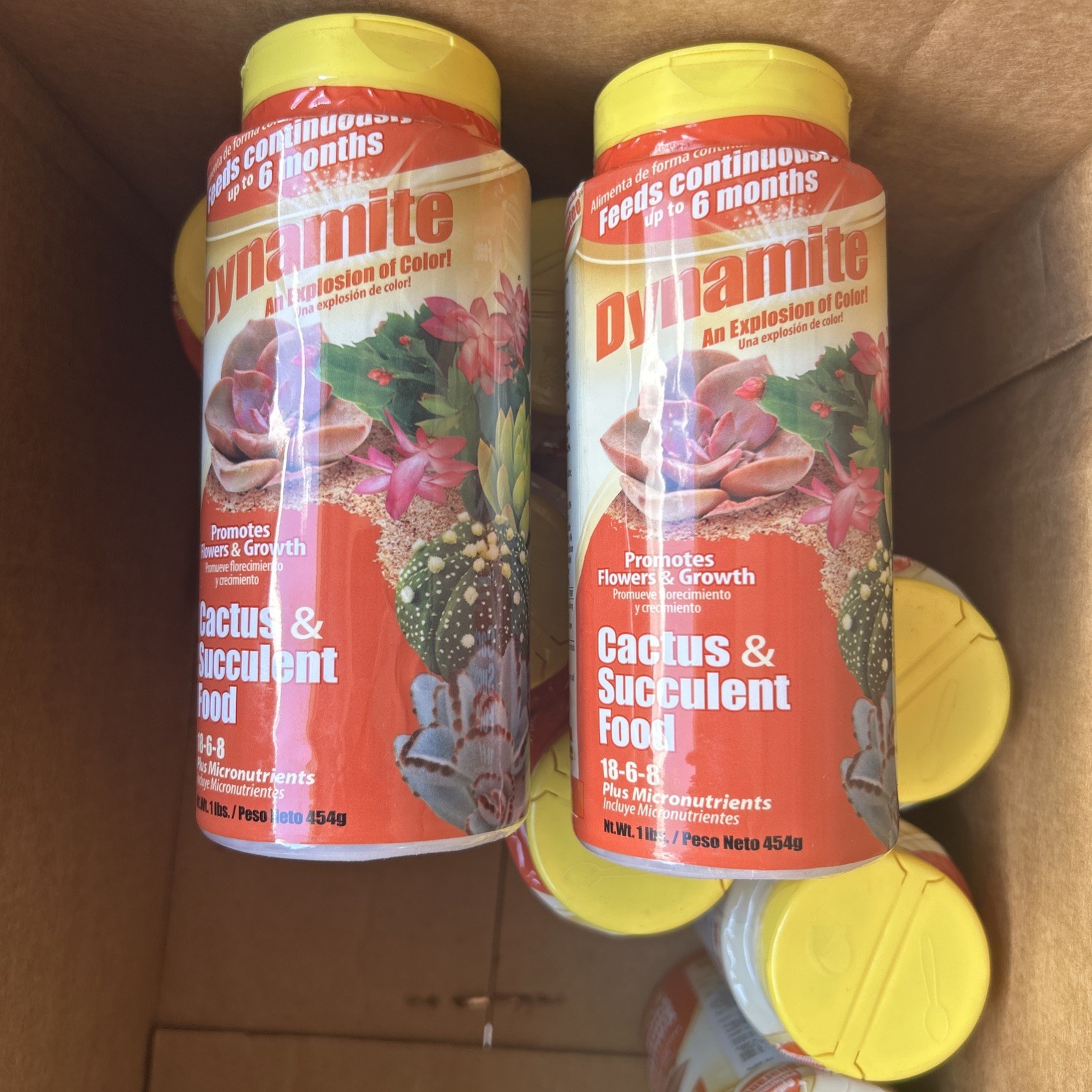 2-Pack Dynamite Sun Bulb Cactus & Succulent Plant Food, 18-6-8 Fertilizer, 1 lb.