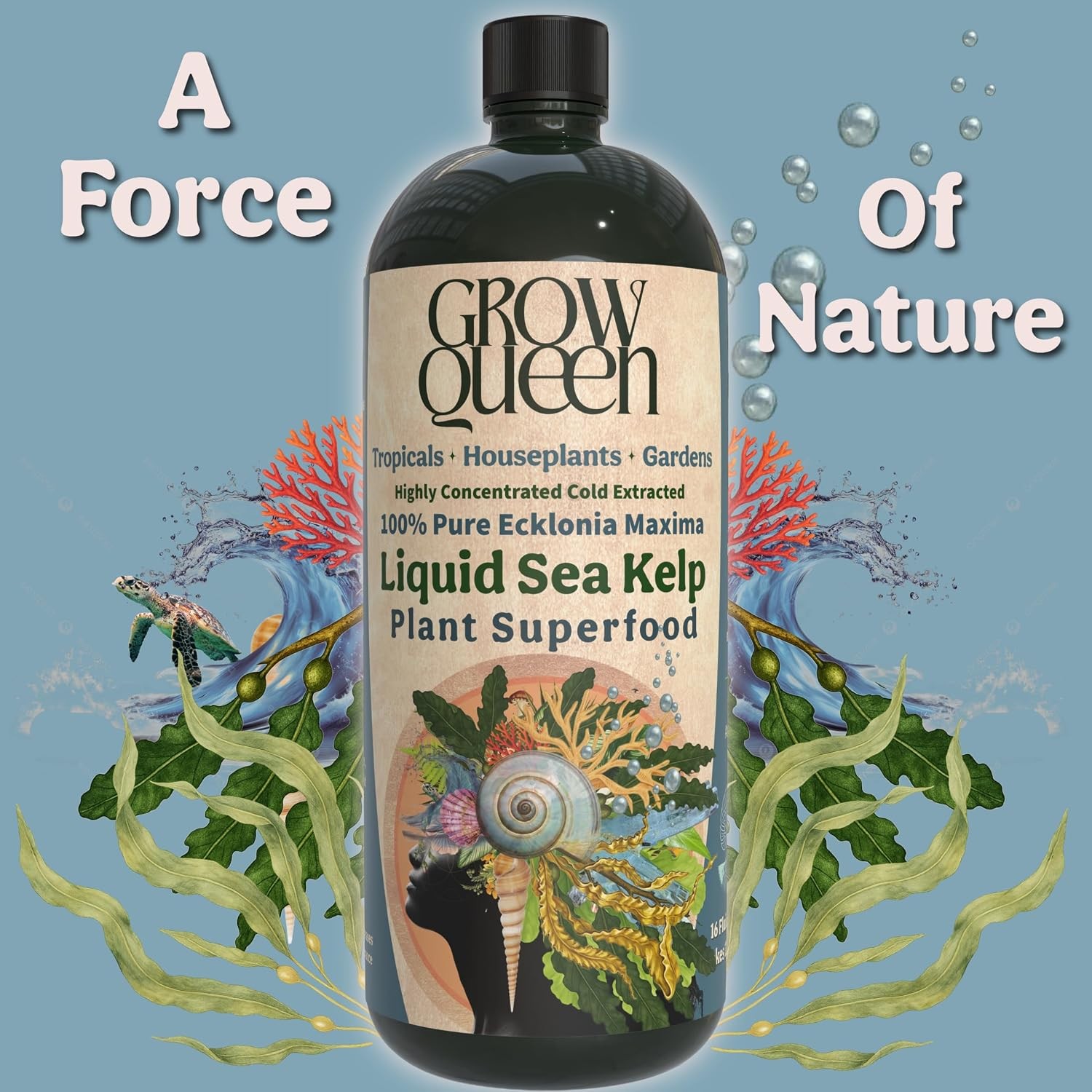 Organic Liquid Kelp & Seaweed Extract Prop Drop Ecklonia Maxima – Root Plant
