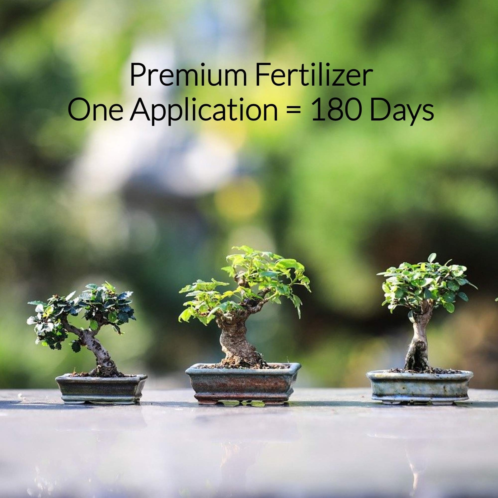 Leaves and Soul Bonsai Fertilizer Pellets |18-6-8 Slow Release Pellets for Se…