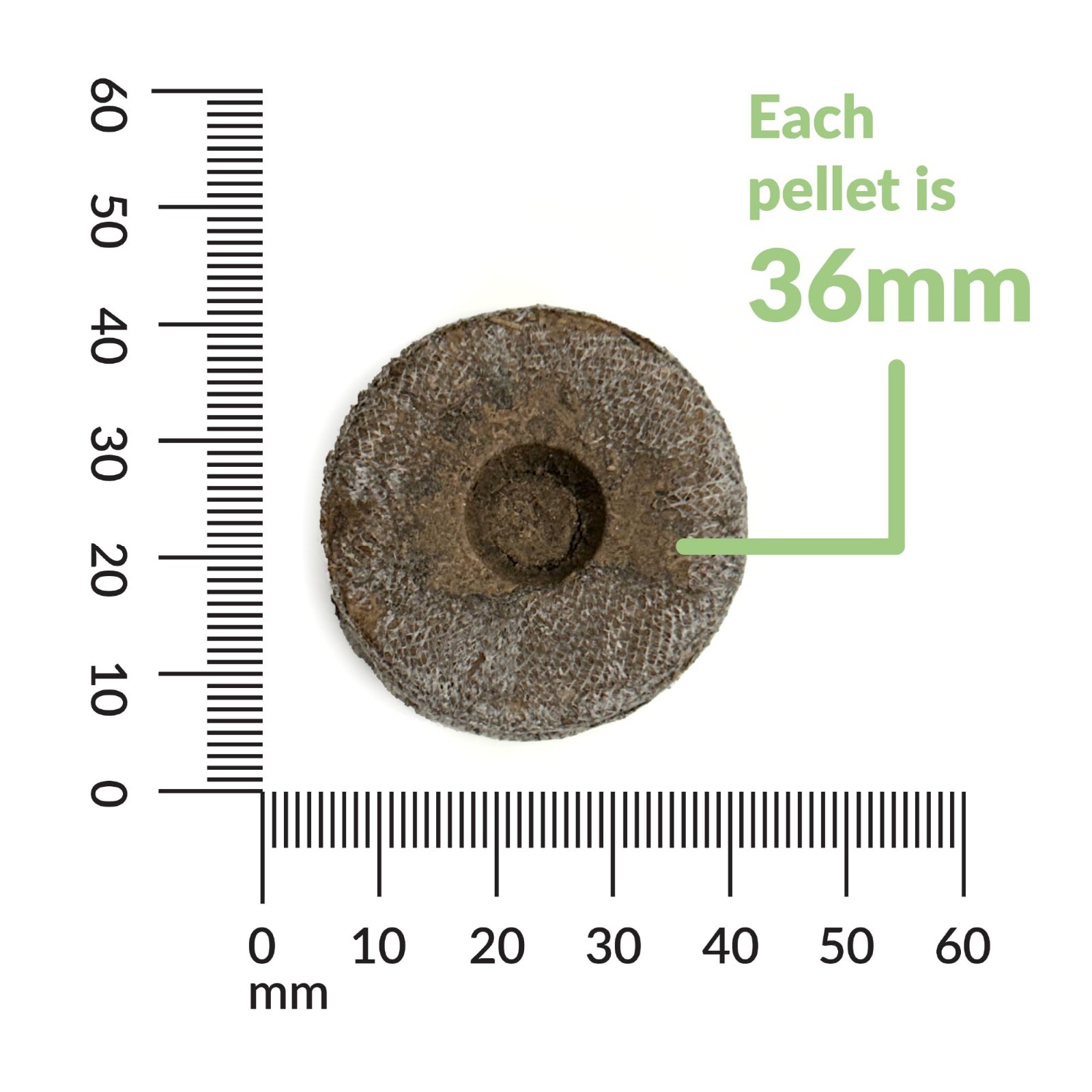 100 Count Peat Soil Pellets 36mm – Indoor Seed Starter Plugs for Gardening & Tra