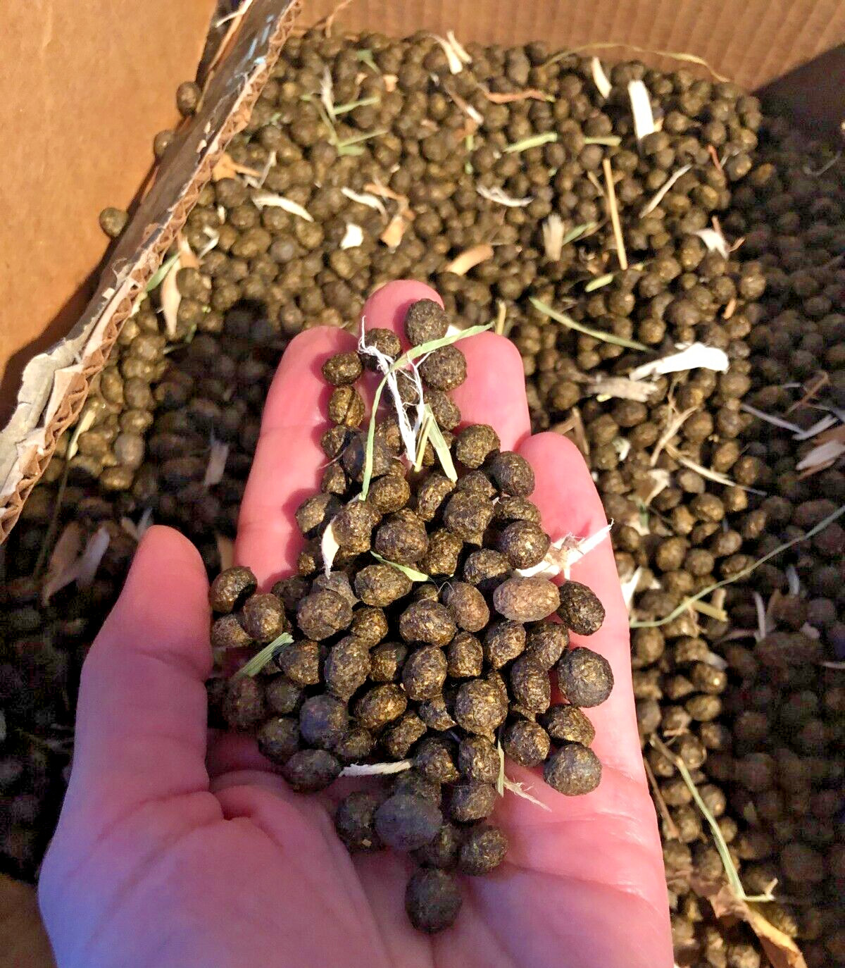 (5 LB) Dried ORGANIC Rabbit Manure | Poop Pellets | 2:1:1 Garden Fertilizer
