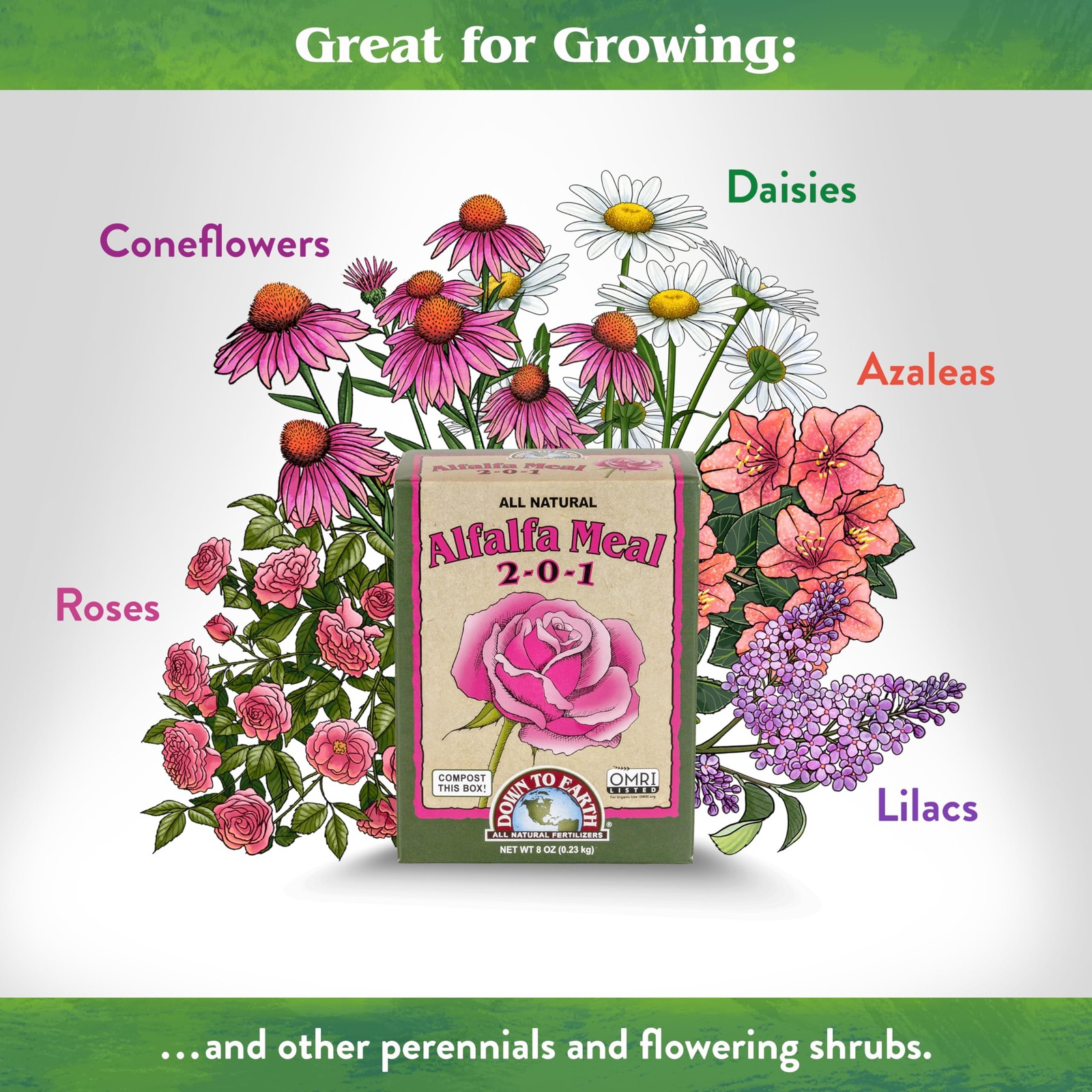 Organic Alfalfa Meal – Plant Food for Roses, Bulbs, Flowers and Ornamentals 2…