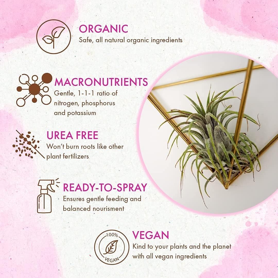 Organic Air Plant Food Mist Spray Bottle 8oz Tillandsia Fertilizer Ready to Use