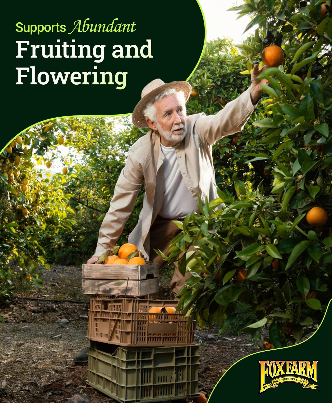 FoxFarm Happy Frog Fruit & Flower Fertilizer – Supports Abundant Fruit & Flow…