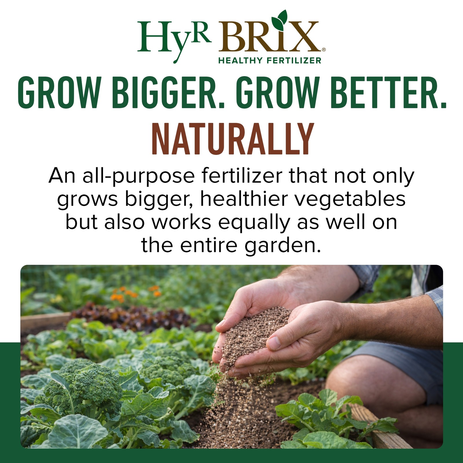 HyR BRIX All Natural & Organic 1-1-8 Vegetable Garden Fertilizer, 5lb Bucket