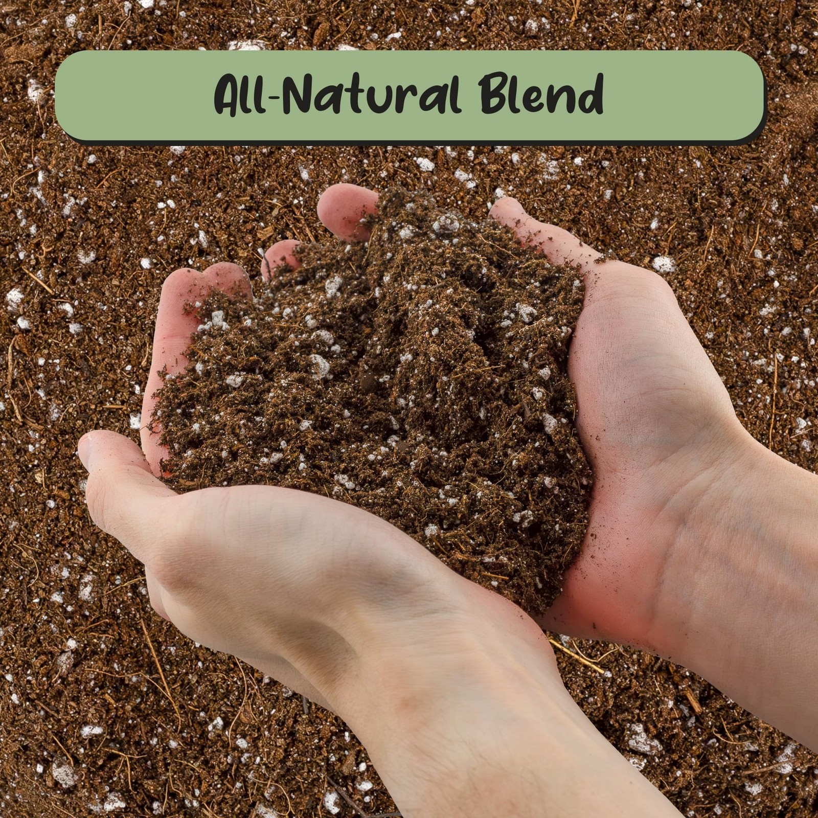 Soil Sunrise Desert Rose Potting Soil Mix (8 Quarts) Hand Blended Small Batch…